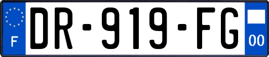 DR-919-FG
