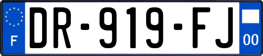 DR-919-FJ