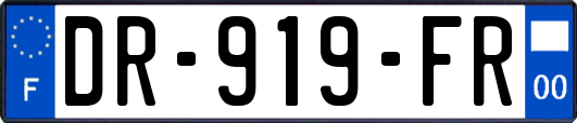 DR-919-FR