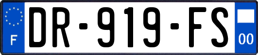 DR-919-FS