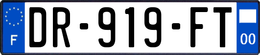 DR-919-FT