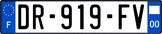 DR-919-FV