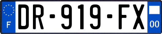 DR-919-FX