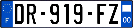 DR-919-FZ
