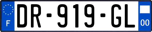 DR-919-GL
