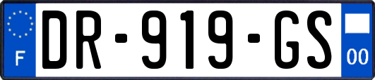 DR-919-GS