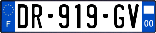 DR-919-GV