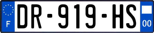 DR-919-HS