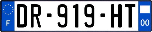 DR-919-HT