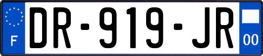 DR-919-JR