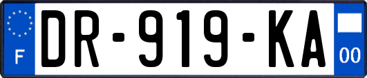 DR-919-KA