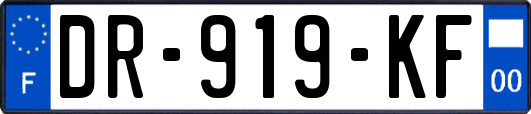 DR-919-KF