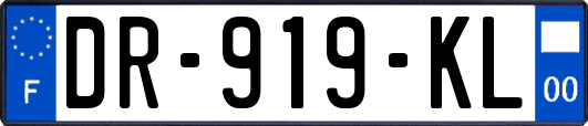 DR-919-KL