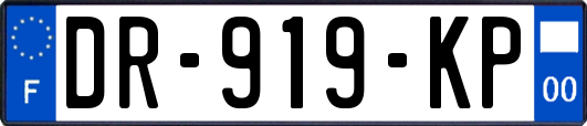 DR-919-KP