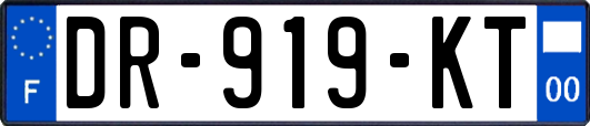 DR-919-KT