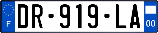 DR-919-LA
