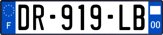 DR-919-LB