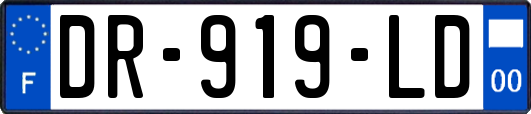 DR-919-LD