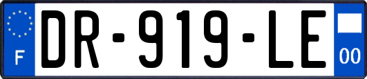 DR-919-LE