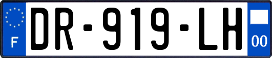 DR-919-LH