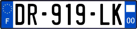 DR-919-LK