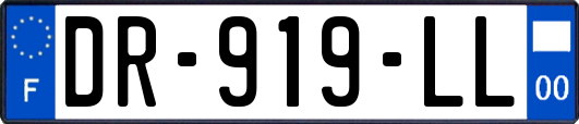 DR-919-LL