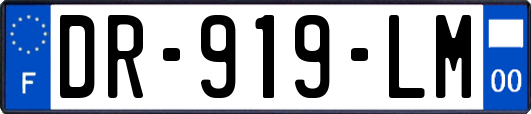 DR-919-LM