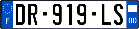 DR-919-LS