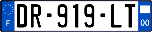 DR-919-LT