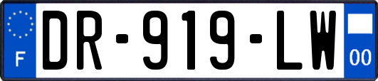 DR-919-LW