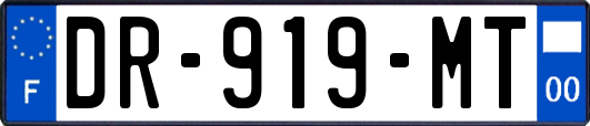 DR-919-MT