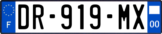 DR-919-MX