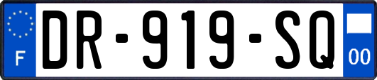 DR-919-SQ