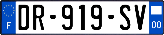 DR-919-SV