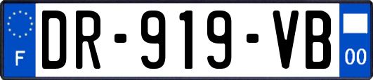 DR-919-VB