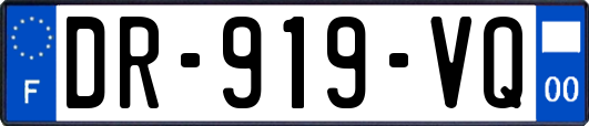DR-919-VQ