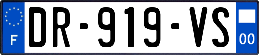 DR-919-VS