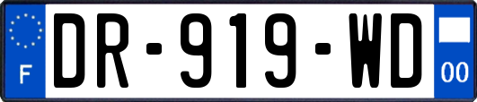 DR-919-WD