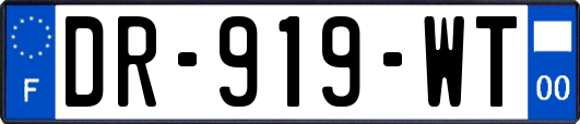 DR-919-WT