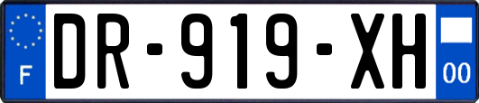 DR-919-XH