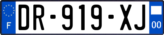 DR-919-XJ