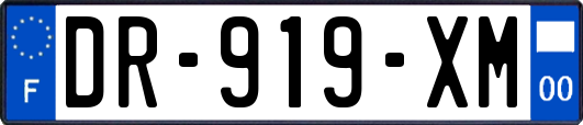 DR-919-XM