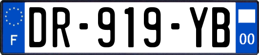 DR-919-YB