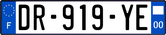 DR-919-YE