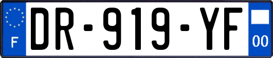DR-919-YF