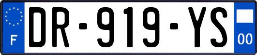 DR-919-YS