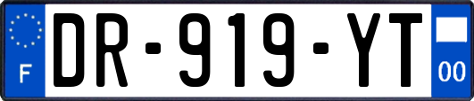 DR-919-YT