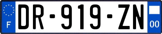 DR-919-ZN