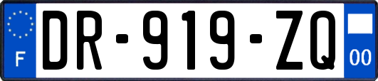 DR-919-ZQ