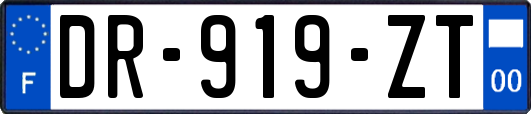 DR-919-ZT